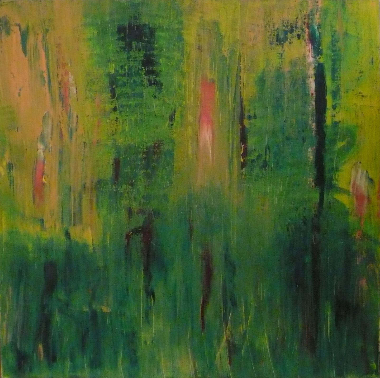 regenwald -SOLD -